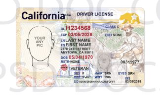 USA California Driver License front back sides