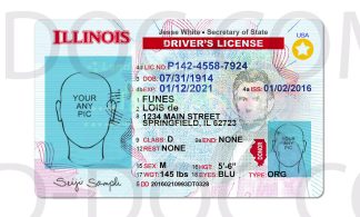 USA Illinois Driver License front back sides
