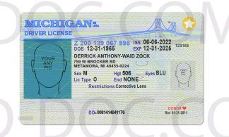 USA Michigan Driver License front back sides