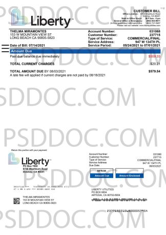 Utility bill PSD