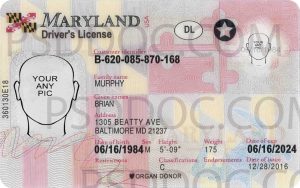 Maryland DL