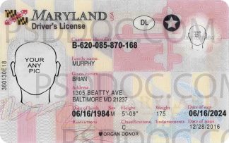 Maryland DL