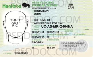 USA Manitoba Driver License front back sides